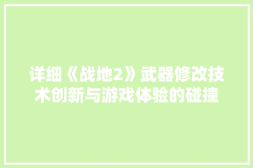 详细《战地2》武器修改技术创新与游戏体验的碰撞
