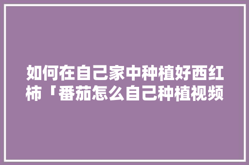 如何在自己家中种植好西红柿「番茄怎么自己种植视频」 如何在自己家中种植好西红柿「番茄怎么自己种植视频」 土壤施肥