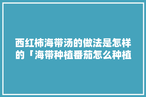西红柿海带汤的做法是怎样的「海带种植番茄怎么种植的视频」 西红柿海带汤的做法是怎样的「海带种植番茄怎么种植的视频」 花朵知识