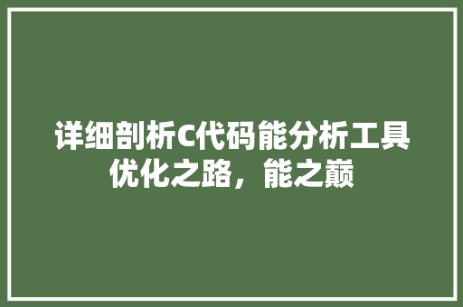 详细剖析C代码能分析工具优化之路，能之巅
