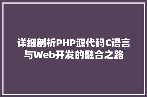 详细剖析PHP源代码C语言与Web开发的融合之路