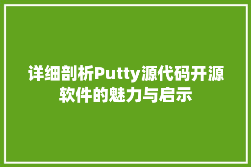 详细剖析Putty源代码开源软件的魅力与启示