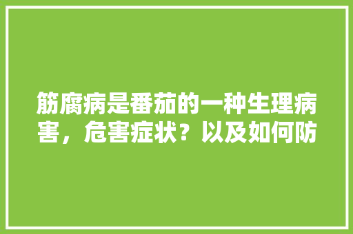 筋腐病是番茄的一种生理病害，危害症状？以及如何防治「番茄茎腐病怎么种植的」