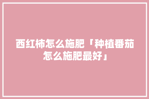 西红柿怎么施肥「种植番茄怎么施肥最好」 西红柿怎么施肥「种植番茄怎么施肥最好」 农业常识