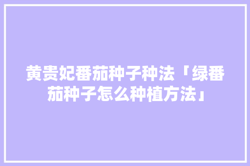 黄贵妃番茄种子种法「绿番茄种子怎么种植方法」 黄贵妃番茄种子种法「绿番茄种子怎么种植方法」 花朵知识