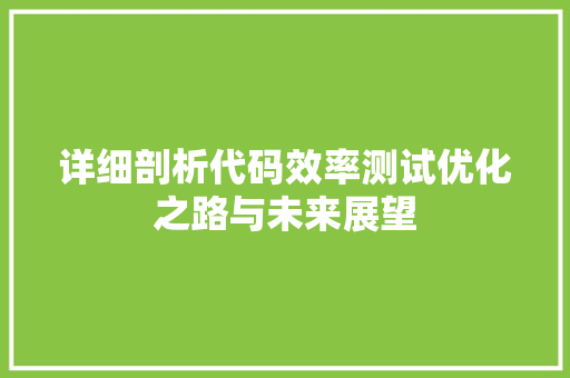 详细剖析代码效率测试优化之路与未来展望
