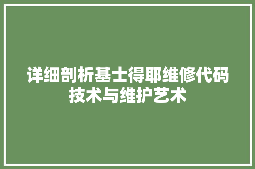 详细剖析基士得耶维修代码技术与维护艺术