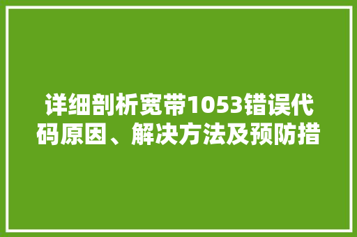 详细剖析宽带1053错误代码原因、解决方法及预防措施 种植技巧