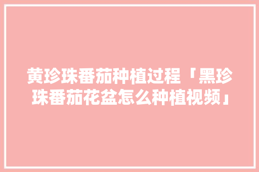 黄珍珠番茄种植过程「黑珍珠番茄花盆怎么种植视频」 黄珍珠番茄种植过程「黑珍珠番茄花盆怎么种植视频」 番茄病虫害防治