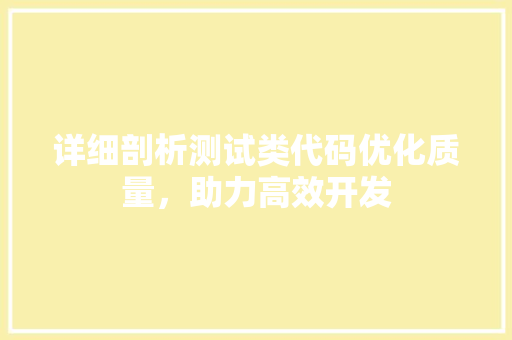 详细剖析测试类代码优化质量，助力高效开发