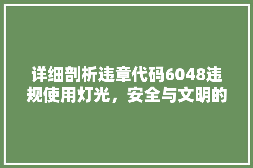 详细剖析违章代码6048违规使用灯光，安全与文明的双重挑战