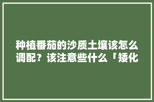 种植番茄的沙质土壤该怎么调配？该注意些什么「矮化小番茄种子怎么种植视频」 种植番茄的沙质土壤该怎么调配？该注意些什么「矮化小番茄种子怎么种植视频」 土壤施肥