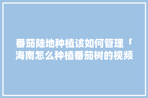 番茄陆地种植该如何管理「海南怎么种植番茄树的视频」 番茄陆地种植该如何管理「海南怎么种植番茄树的视频」 花朵知识