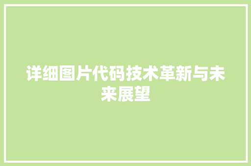 详细图片代码技术革新与未来展望