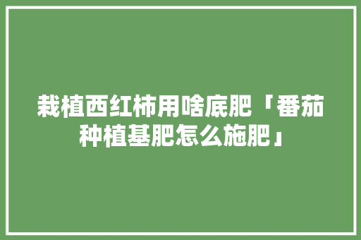 栽植西红柿用啥底肥「番茄种植基肥怎么施肥」 栽植西红柿用啥底肥「番茄种植基肥怎么施肥」 花朵知识