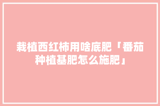 栽植西红柿用啥底肥「番茄种植基肥怎么施肥」 栽植西红柿用啥底肥「番茄种植基肥怎么施肥」 土壤施肥