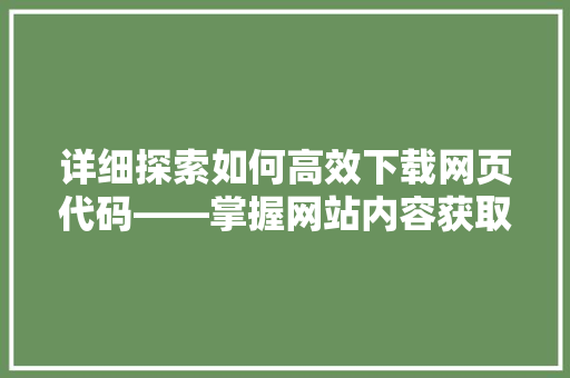 详细探索如何高效下载网页代码——掌握网站内容获取的方法