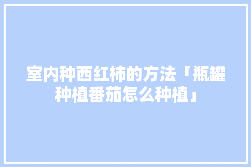 室内种西红柿的方法「瓶罐种植番茄怎么种植」 室内种西红柿的方法「瓶罐种植番茄怎么种植」 农业常识