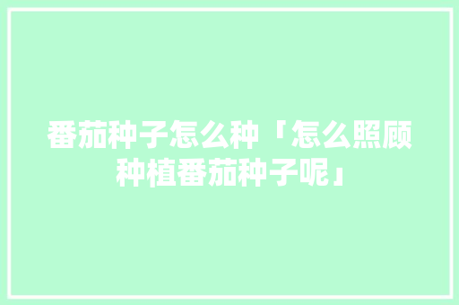 番茄种子怎么种「怎么照顾种植番茄种子呢」 番茄种子怎么种「怎么照顾种植番茄种子呢」 番茄种植技巧