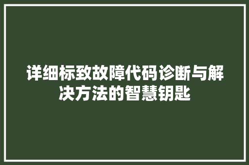 详细标致故障代码诊断与解决方法的智慧钥匙 番茄种植技巧