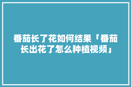 番茄长了花如何结果「番茄长出花了怎么种植视频」 番茄长了花如何结果「番茄长出花了怎么种植视频」 番茄病虫害防治
