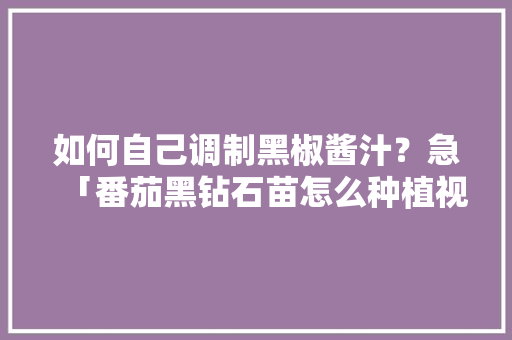 如何自己调制黑椒酱汁？急「番茄黑钻石苗怎么种植视频」