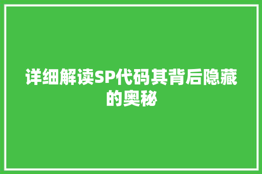 详细解读SP代码其背后隐藏的奥秘