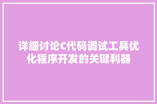 详细讨论C代码调试工具优化程序开发的关键利器