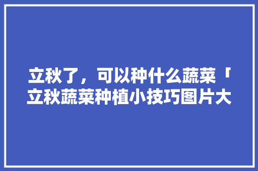 立秋了，可以种什么蔬菜「立秋蔬菜种植小技巧图片大全」