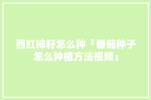 西红柿籽怎么种「番茄种子怎么种植方法视频」 西红柿籽怎么种「番茄种子怎么种植方法视频」 种植技巧