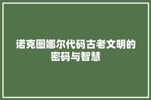 诺克图娜尔代码古老文明的密码与智慧