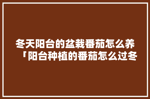 冬天阳台的盆栽番茄怎么养「阳台种植的番茄怎么过冬呢」 冬天阳台的盆栽番茄怎么养「阳台种植的番茄怎么过冬呢」 植物种类