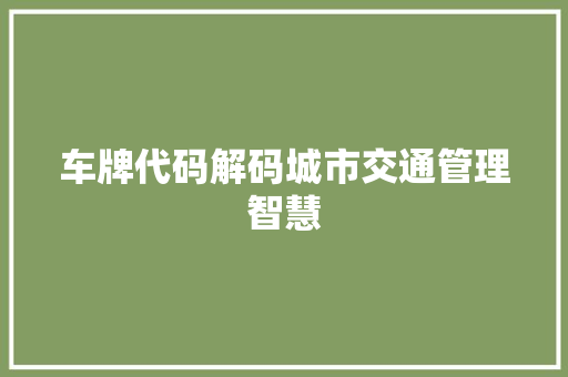 车牌代码解码城市交通管理智慧