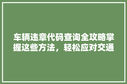 车辆违章代码查询全攻略掌握这些方法，轻松应对交通违规