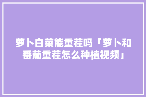 萝卜白菜能重茬吗「萝卜和番茄重茬怎么种植视频」
