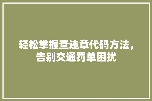 轻松掌握查违章代码方法，告别交通罚单困扰