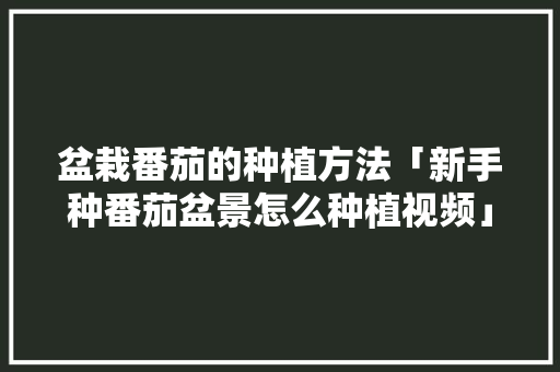盆栽番茄的种植方法「新手种番茄盆景怎么种植视频」 盆栽番茄的种植方法「新手种番茄盆景怎么种植视频」 农业常识