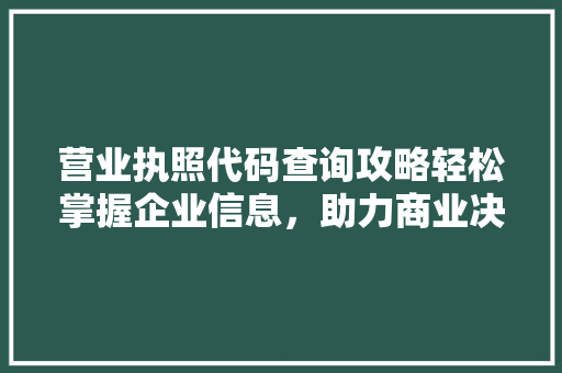 营业执照代码查询攻略轻松掌握企业信息，助力商业决策