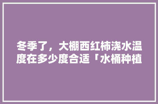 冬季了，大棚西红柿浇水温度在多少度合适「水桶种植番茄怎么种植」 冬季了，大棚西红柿浇水温度在多少度合适「水桶种植番茄怎么种植」 土壤施肥