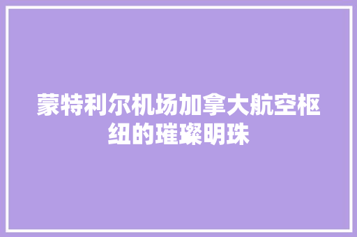 蒙特利尔机场加拿大航空枢纽的璀璨明珠
