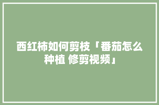 西红柿如何剪枝「番茄怎么种植 修剪视频」 农业常识 西红柿如何剪枝「番茄怎么种植 修剪视频」 西红柿如何剪枝「番茄怎么种植 修剪视频」 农业常识