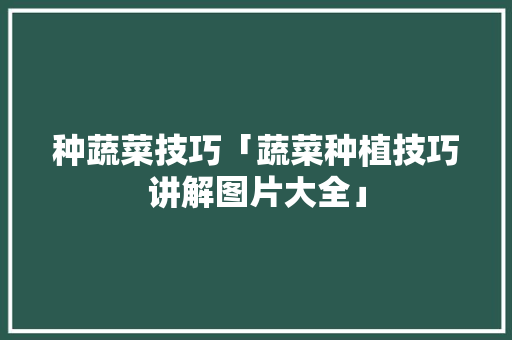 种蔬菜技巧「蔬菜种植技巧讲解图片大全」 番茄种植技巧 种蔬菜技巧「蔬菜种植技巧讲解图片大全」 种蔬菜技巧「蔬菜种植技巧讲解图片大全」 番茄种植技巧