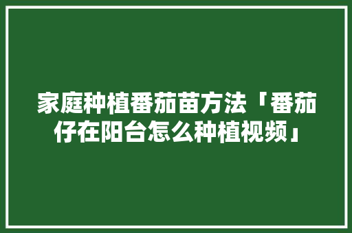 家庭种植番茄苗方法「番茄仔在阳台怎么种植视频」 家庭种植番茄苗方法「番茄仔在阳台怎么种植视频」 种植技巧