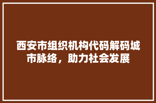 西安市组织机构代码解码城市脉络，助力社会发展