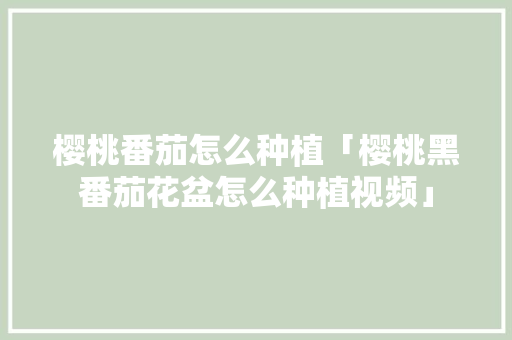 樱桃番茄怎么种植「樱桃黑番茄花盆怎么种植视频」 樱桃番茄怎么种植「樱桃黑番茄花盆怎么种植视频」 农业常识
