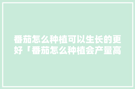番茄怎么种植可以生长的更好「番茄怎么种植会产量高些」 番茄怎么种植可以生长的更好「番茄怎么种植会产量高些」 番茄种植技巧