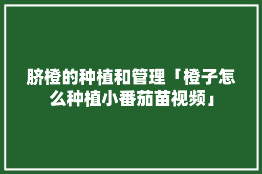 脐橙的种植和管理「橙子怎么种植小番茄苗视频」
