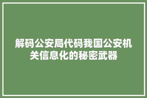 解码公安局代码我国公安机关信息化的秘密武器