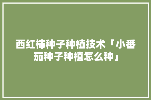 西红柿种子种植技术「小番茄种子种植怎么种」 西红柿种子种植技术「小番茄种子种植怎么种」 番茄病虫害防治
