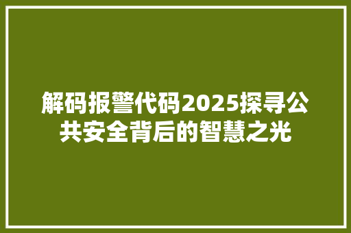 解码报警代码2025探寻公共安全背后的智慧之光
